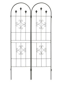 Krata ogrodowa, trejaż 